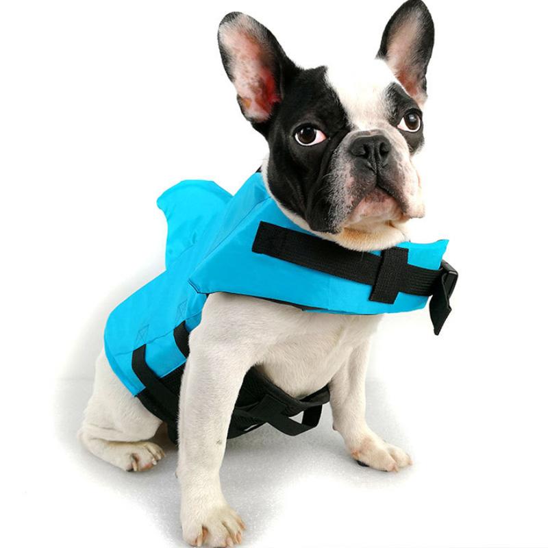 DogSwim™ | Houd je hond veilig tijdens wateravonturen!