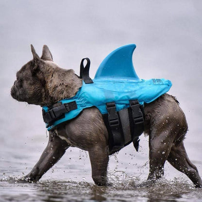 DogSwim™ | Houd je hond veilig tijdens wateravonturen!