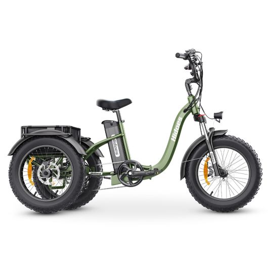 Hidoes ET1 Elektrische Opvouwbare Driewieler – 48V 250W – Tot 95 km Bereik – 7 Versnellingen – 20x4.0 Off-road Banden – Shimano – LCD Display – Max. 150 kg