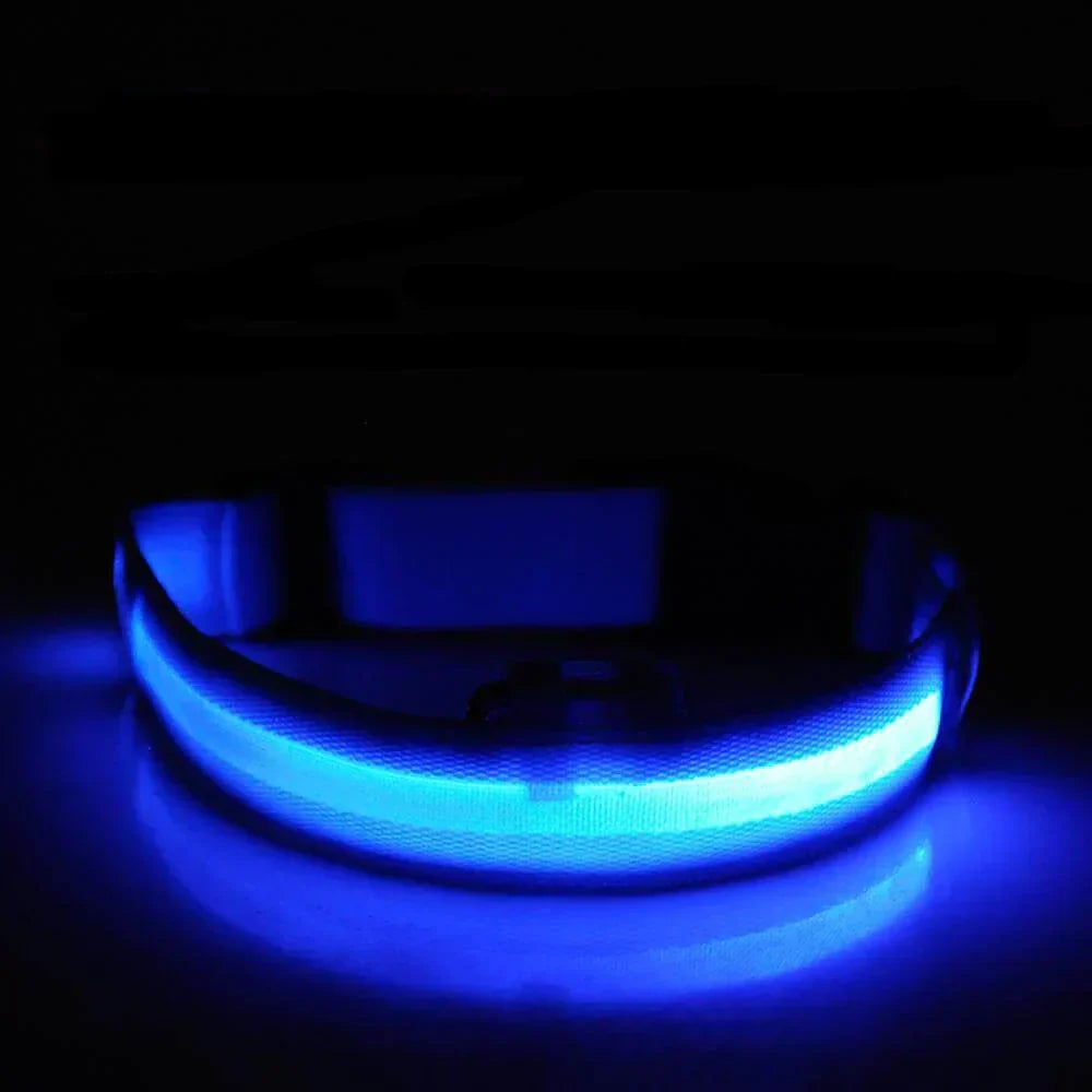 GlowPets LED Halsband – Veiligheid & Zichtbaarheid voor Huisdieren