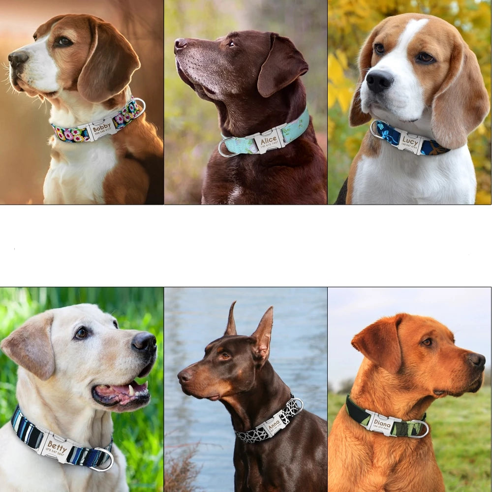 Gepersonaliseerde Hondenhalsband | Gegraveerd | Halsband met Naam | Bescherm uw Hond
