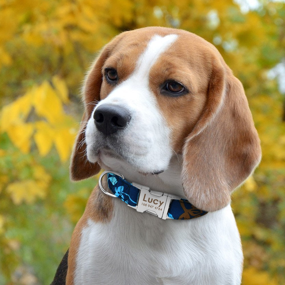 Gepersonaliseerde Hondenhalsband | Gegraveerd | Halsband met Naam | Bescherm uw Hond