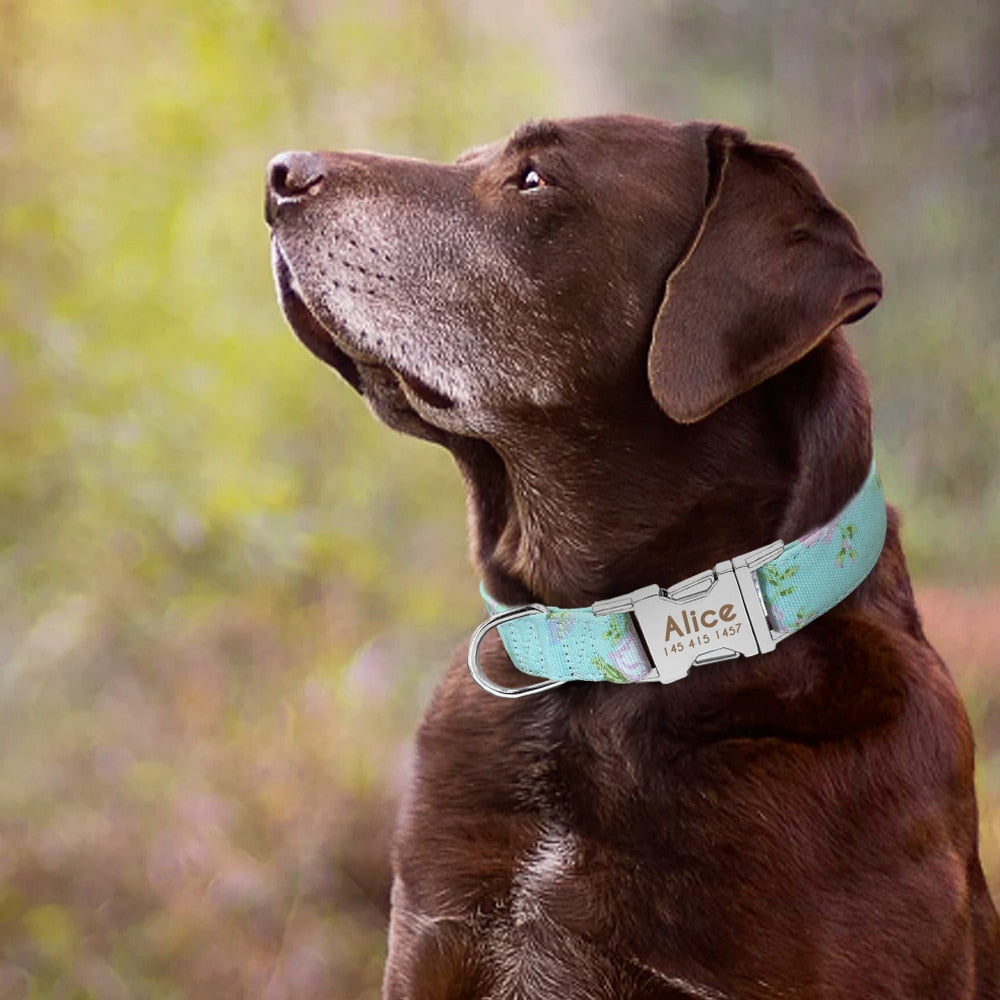 Gepersonaliseerde Hondenhalsband | Gegraveerd | Halsband met Naam | Bescherm uw Hond