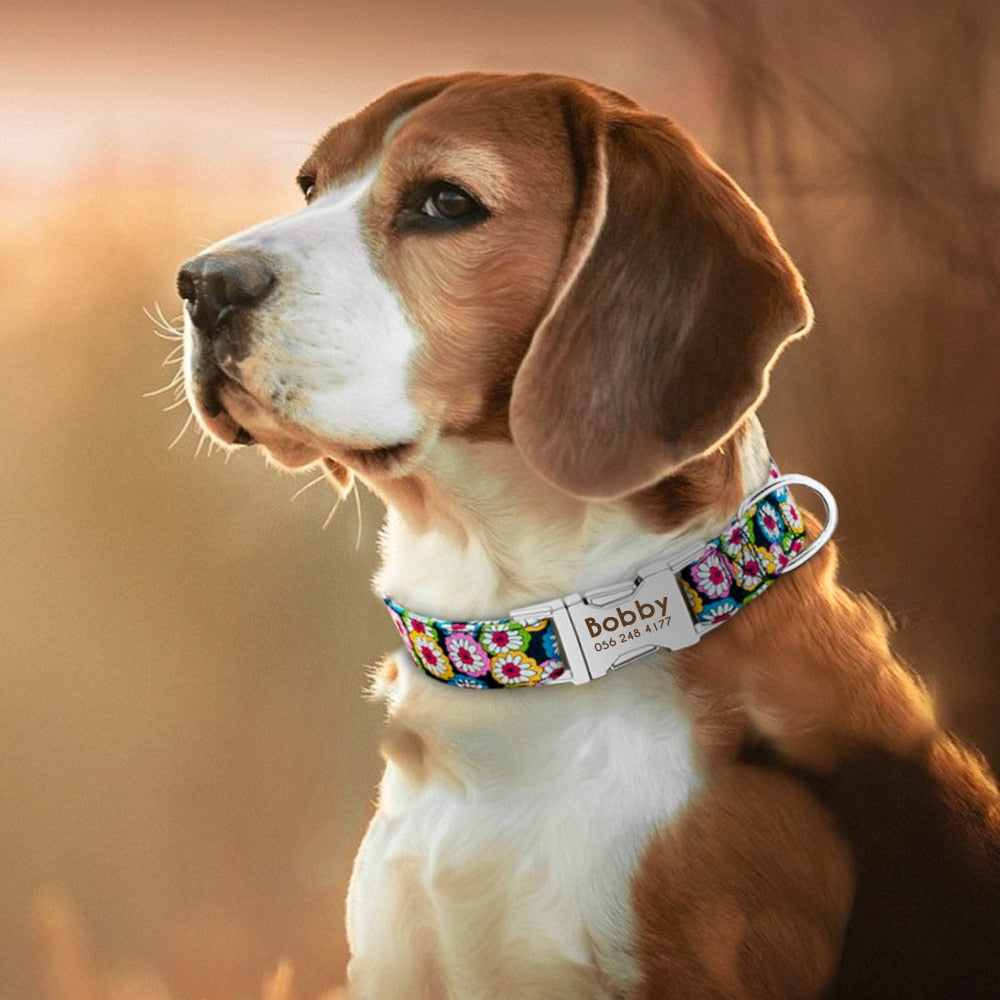 Gepersonaliseerde Hondenhalsband | Gegraveerd | Halsband met Naam | Bescherm uw Hond