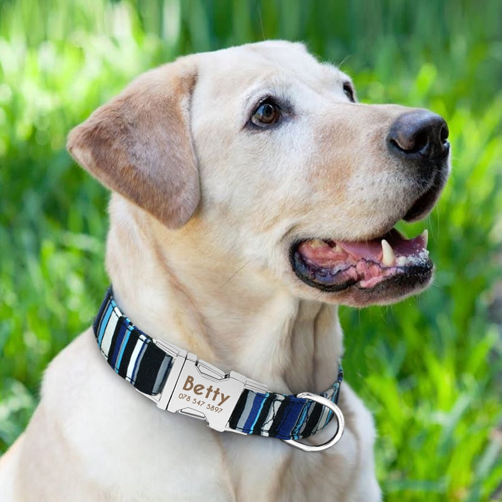 Gepersonaliseerde Hondenhalsband | Gegraveerd | Halsband met Naam | Bescherm uw Hond