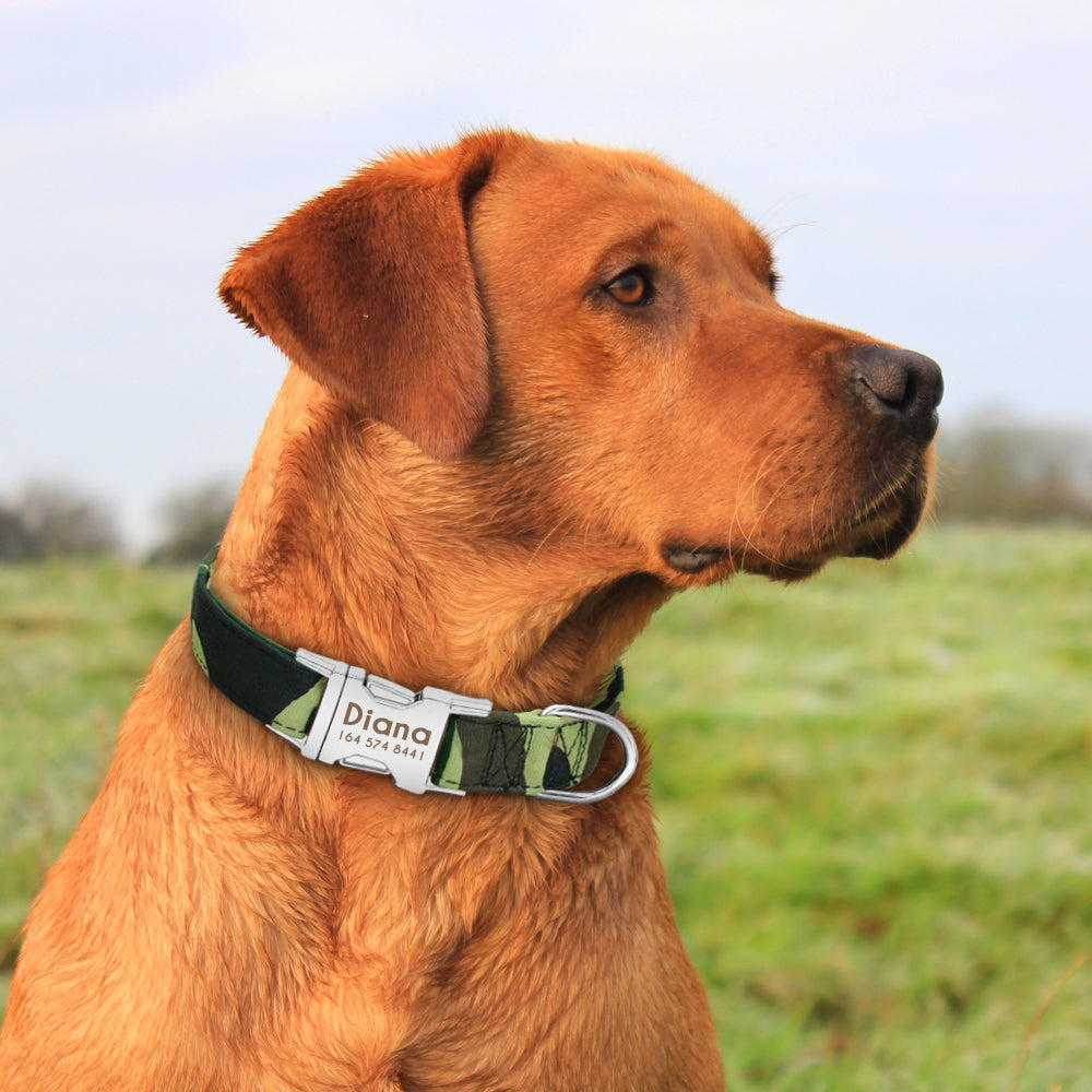 Gepersonaliseerde Hondenhalsband | Gegraveerd | Halsband met Naam | Bescherm uw Hond