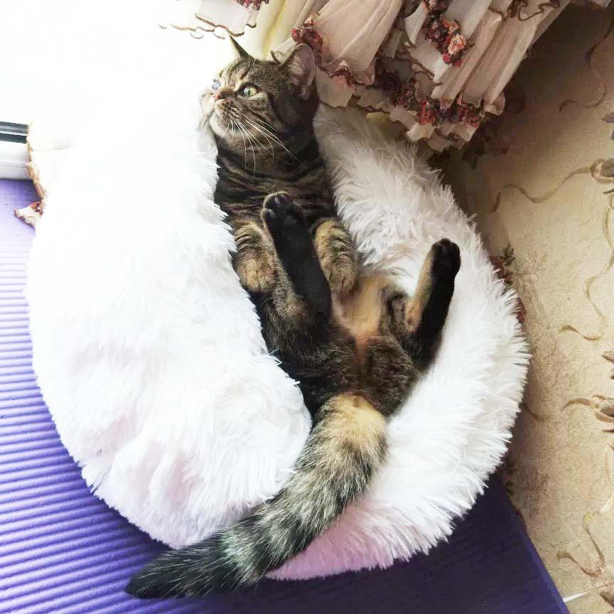 Luxe katten & hondenmand - Donut - Heerlijk zacht