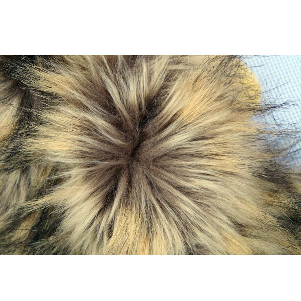 Leeuwenmanen voor je kat | ROARRR!