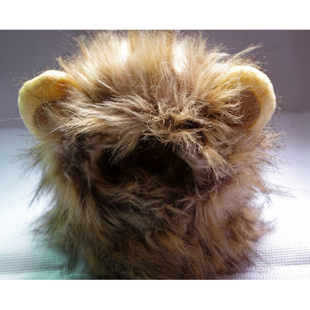 Leeuwenmanen voor je kat | ROARRR!