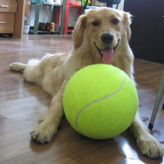 Grote tennisbal voor je hond - XXL - 24 cm doorsnede - Mega Tennisbal