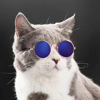 Zonnebril voor je kat | Steel samen de show!