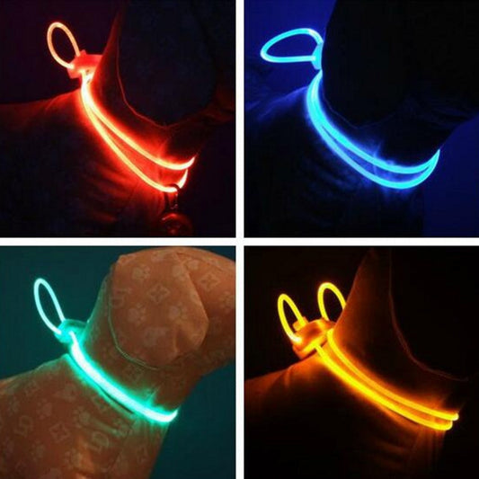 LED Honden Halsband | Veilige verlichting voor jouw hond