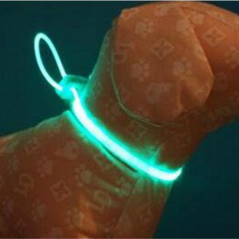 LED Honden Halsband | Veilige verlichting voor jouw hond