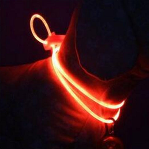 LED Honden Halsband | Veilige verlichting voor jouw hond