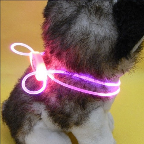 LED Honden Halsband | Veilige verlichting voor jouw hond