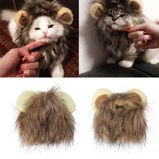 Leeuwenmanen voor je kat | ROARRR!
